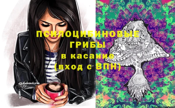 мяу мяу кристалл Алексин