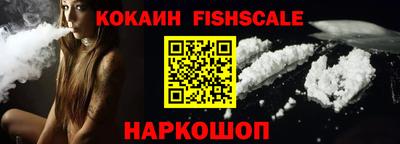 стаф Гай