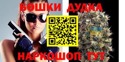 стаф Гай