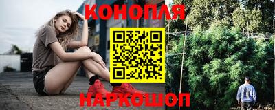 стаф Гай