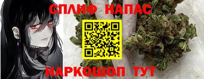 стаф Гай