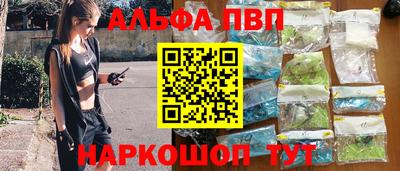 стаф Гай