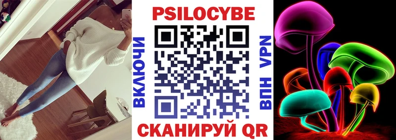 дарнет шоп  Люберцы  Псилоцибиновые грибы MAGIC MUSHROOMS 