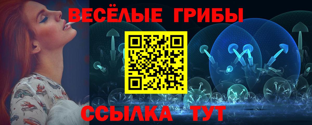 Люберцы  Галлюциногенные грибы Psilocybine cubensis  Вход с VPN 